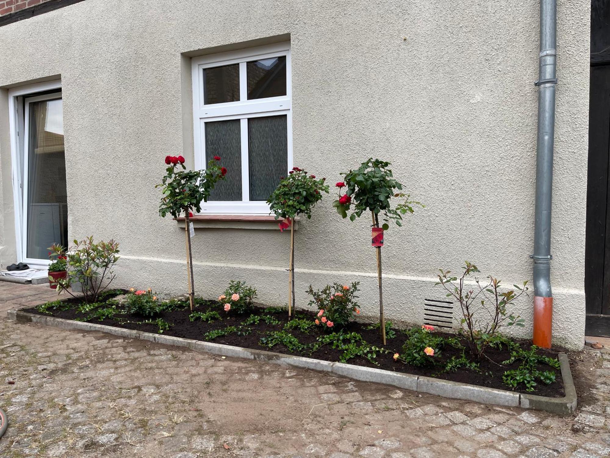 Hofquartier Schwerin Apartment ชเวียรีน ภายนอก รูปภาพ